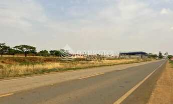 Imagem 3: Lote Americano do Brasil