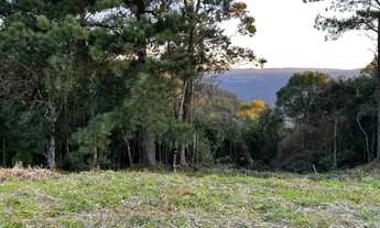 Imagem: Terreno - Bairro Vila Dante