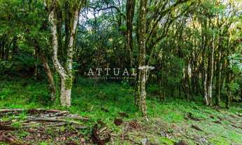 Imagem 5: TERRENO EM CONDOMÍNIO COM PROJETO APROVADO!