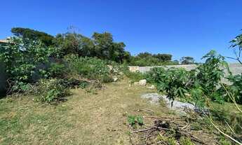 Imagem 7: Tereno a venda no Pero 420m2 plano com RGI