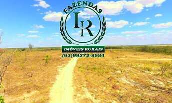 Imagem 7: Fazenda Tocantins 130 Alqueires Lavoura