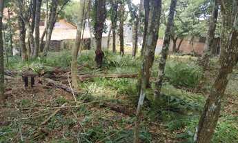 Imagem 4: Terreno à venda, VILA GUARANI , COLOMBO - PR