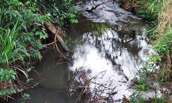 Imagem 2: Chácara de 2 alqueires a venda em Ceres-GO