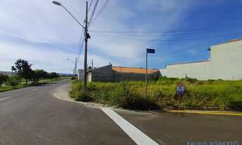 Imagem 6: TERRENO - JARDIM NOÊMIA - SP