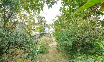 Imagem 4: Vendas Terreno Curitiba PR