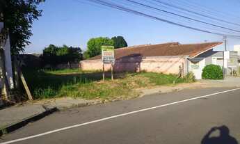 Imagem 2: Terreno 540 m Centro - Pinhais - PR