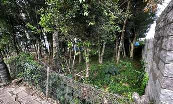 Imagem 3: Terreno - Bairro Belvedere