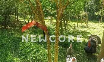 Imagem 4: Sítio em Estrada do Oura - Ipelândia - Suzano/SP