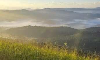 Imagem 7: Terreno Espaçoso Próximo à Castelo Branco