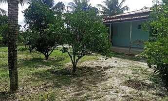 Imagem 4: Mini Sítio em Coité