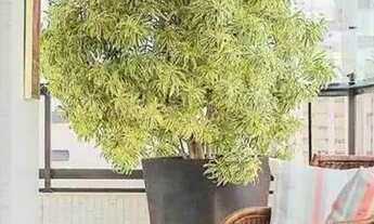 Imagem 4: Apartamento em Rua Caconde - Jardim Paulista - São Paulo/SP