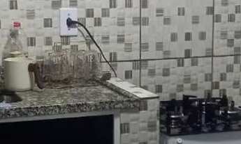 Imagem 6: Vendo casa Casa com 1 dormitório