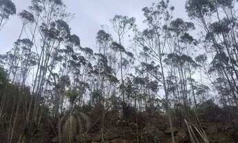 Imagem 6: Terreno à Venda em Ibiúna Região Tranquila e Arborizada