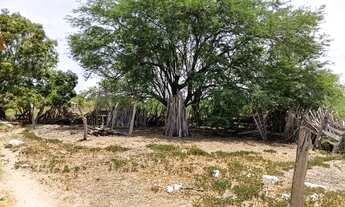 Imagem 3: Chácara Roca do M, s/nº - Zona Rural, Glória - BA, 48610-000, Centro, Glória