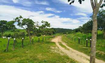 Imagem 7: Fazenda modelo em Planaltina Goias
