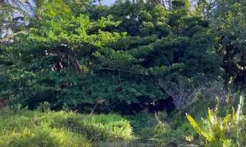 Imagem 5: Lote no Yuste Valverde - Paracuru