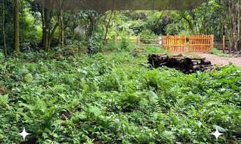 Imagem: Sítio Meia/ Hectare - Morro Reuter RS