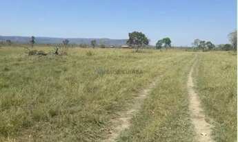 Imagem 6: Fazenda com 194 hectares nas margens da BR 040