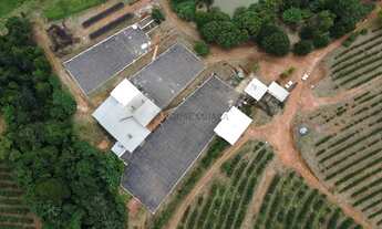 Imagem 2: CAFÉ PRODUÇÃO E QUALIDADE