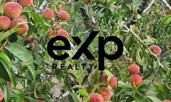 Imagem: OTIMA CASA DE CAMPO QUITANDINHA