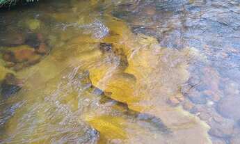 Imagem 7: Sítio a venda em Senador Mourão MG