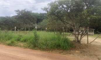Imagem 3: Terro no km 9 linha C
