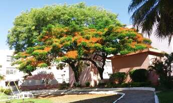 Imagem 1: Apartamento em Tristeza