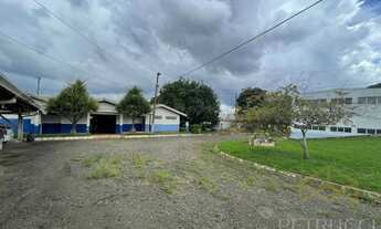 Imagem 6: área - Jardim Anhangüera - Rio Claro