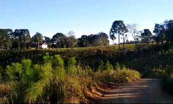 Imagem 2: Vendo chácara em Quatro barras pr