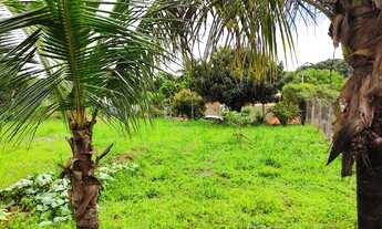 Imagem 5: Chácara em Artur Nogueira