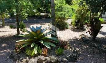 Imagem 5: NOVA HARTZ - Chácara - Zona Rural