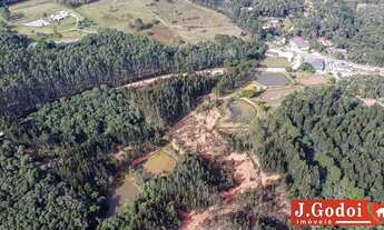 Imagem 2: LINDA CHÁCARA COLOMBO - IMBUIAL - 115.287,49M²