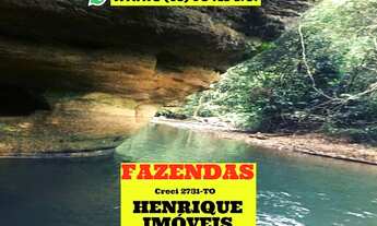 Imagem 3: Fazenda na região de Palmas sentido Aparecida