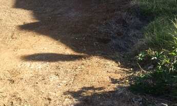 Imagem 4: Excelente terreno no JD Sevilha - Zona Sul