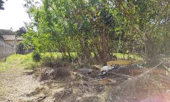 Imagem: Terreno Plano no Vale das Flores