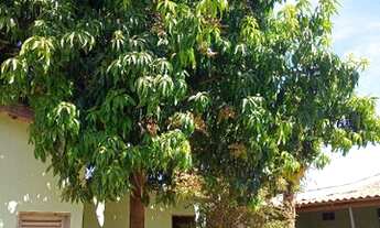 Imagem 3: Vende se uma casa setor buena vista