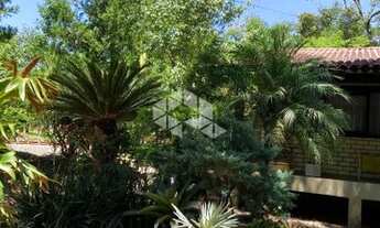 Imagem 3: NOVA HARTZ - Chácara - Zona Rural