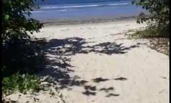 Imagem 3: Terreno beira mar em Ubatuba pego carro