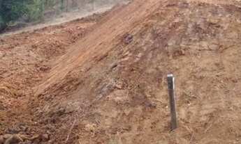 Imagem 3: Vendo chácara em Quatro barras pr