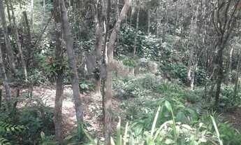 Imagem: Chácara à venda no bairro Brilhante II