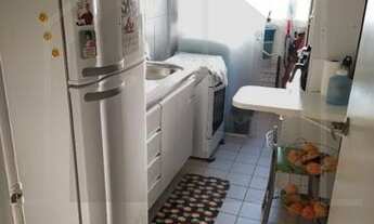 Imagem 3: Apartamento - Jardim Dom Vieira - Campinas