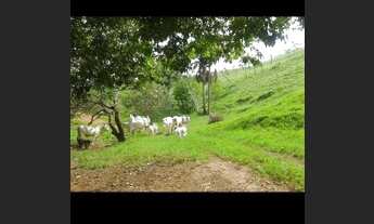 Imagem 5: Fazenda em Santa Tereza sentido Ponte Alta
