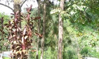 Imagem 7: CASA ASSOBRADADA - CHÁCARAS BANANAL - SP