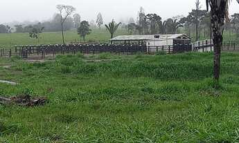 Imagem: Fazenda à venda 11 Quartos, 9 Suites, 1260M²