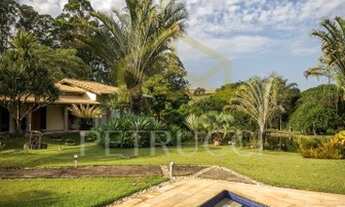 Imagem 3: Sítio - Centro - Tuiuti