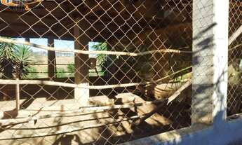 Imagem 4: Sítio para comprar Área Rural Entre Rios de Minas