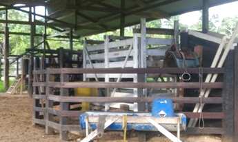 Imagem 7: Fazenda à venda, Alça Viária, Acará, PA