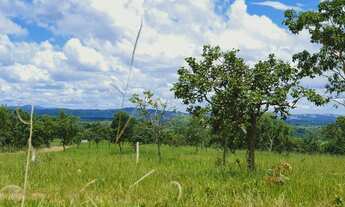 Imagem 2: Oportunidade. Terrenos de 20.000m² com Lagoa no Quintal por 40.475 + Parcelas