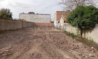 Imagem 5: SAO JOSE DOS PINHAIS - Terreno Padrão - Cristal
