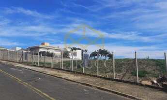 Imagem 2: área - Parque Taquaral - Campinas